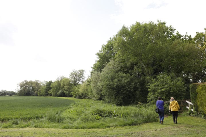 park with people walking